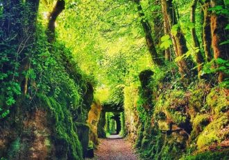 Pic Pathway